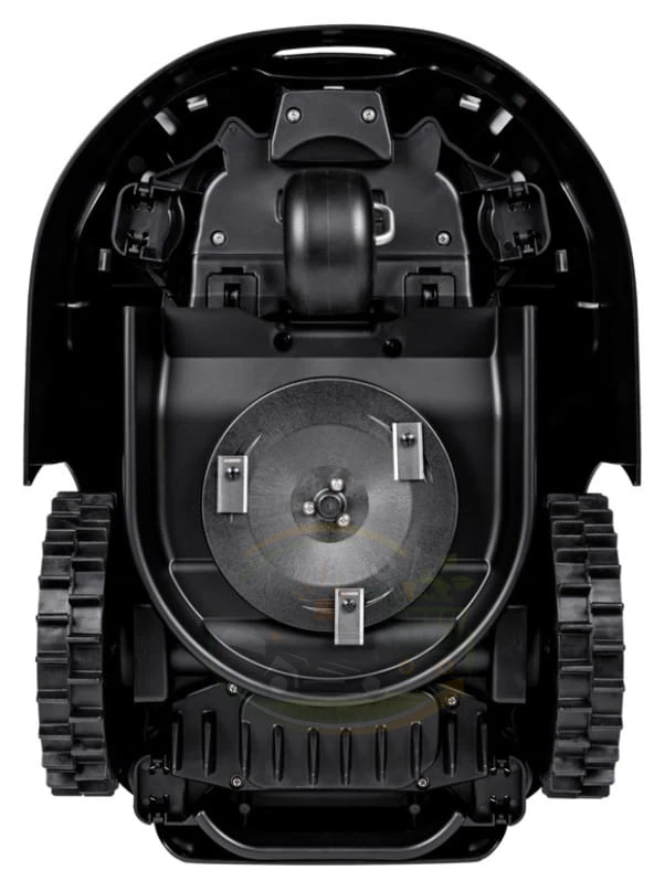 cedrus robot od dołu.jpg